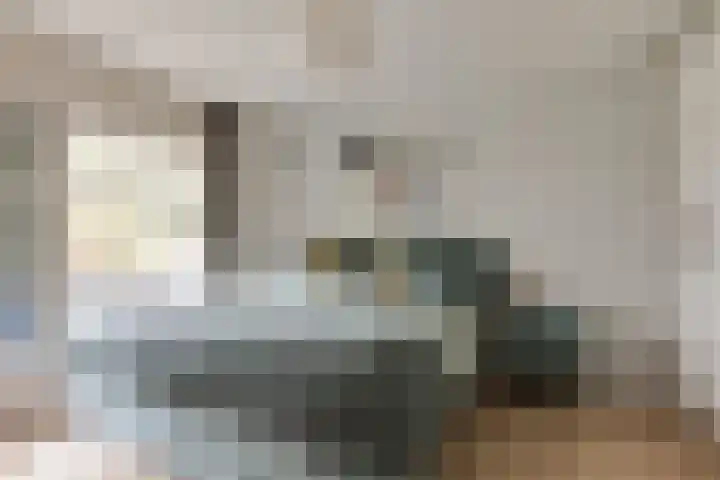Koningsvaren 54 Bergschenhoek thumbnail 22