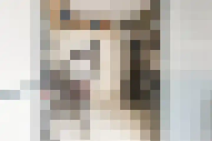Koningsvaren 54 Bergschenhoek thumbnail 43