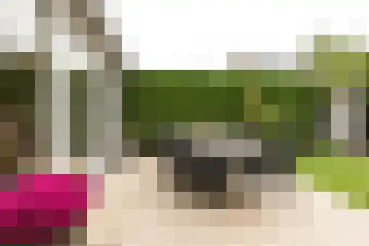 Koningsvaren 54 Bergschenhoek thumbnail 44