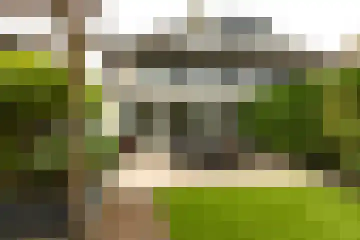Koningsvaren 54 Bergschenhoek thumbnail 46