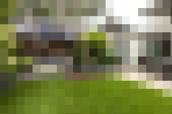 Koningsvaren 54 Bergschenhoek thumbnail 47