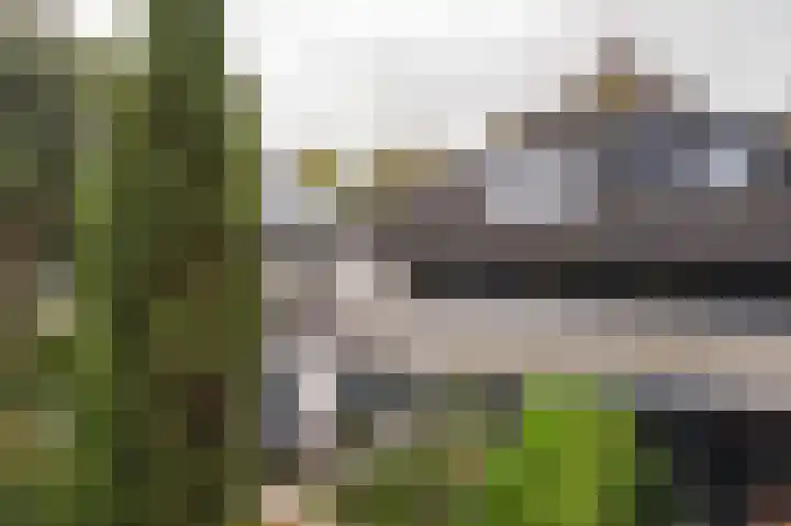 Koningsvaren 54 Bergschenhoek thumbnail 48