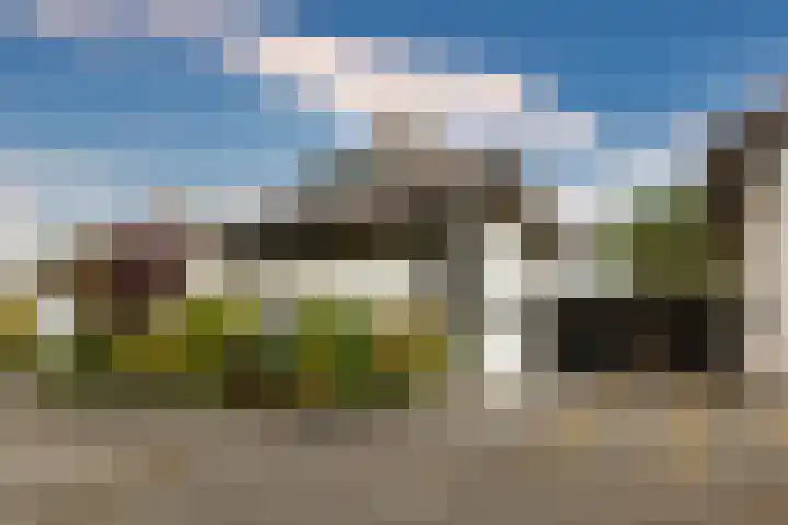 Koningsvaren 54 Bergschenhoek thumbnail 5