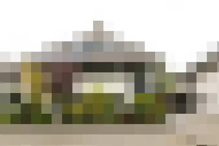 Koningsvaren 54 Bergschenhoek thumbnail 6