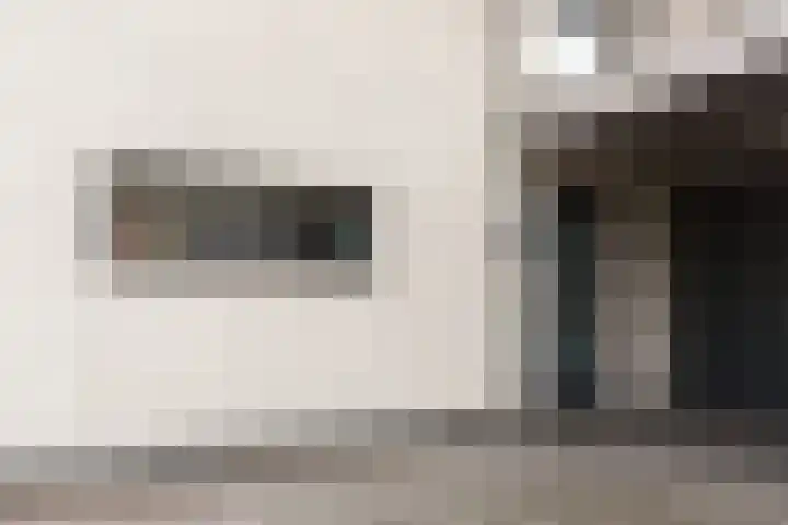 Koningsvaren 54 Bergschenhoek thumbnail 7