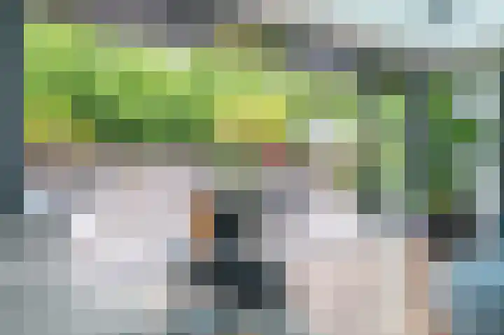 Koningsvaren 7 Soest thumbnail 10