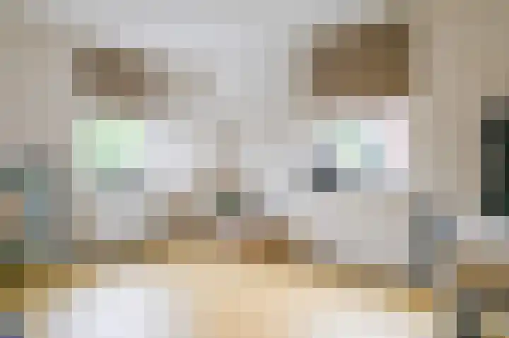 Koningsvaren 7 Soest thumbnail 25