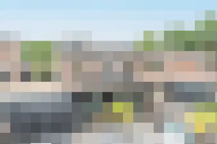 Koningsvaren 7 Soest thumbnail 33