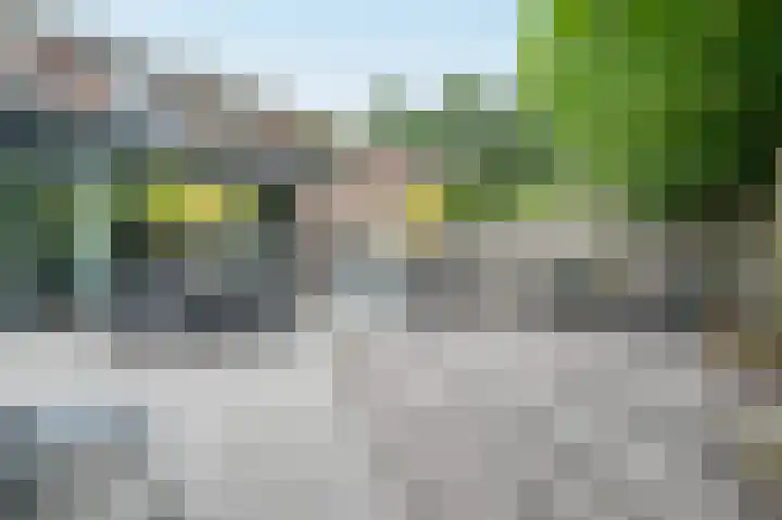 Koningsvaren 7 Soest thumbnail 34