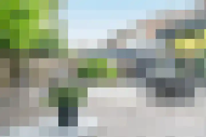 Koningsvaren 7 Soest thumbnail 35
