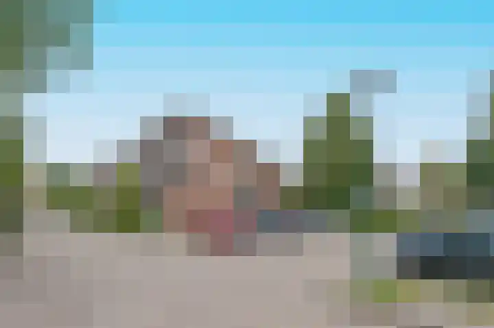Koningsvaren 7 Soest thumbnail 43