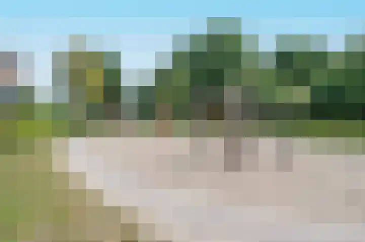 Koningsvaren 7 Soest thumbnail 44