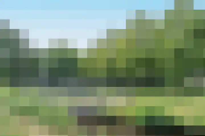 Koningsvaren 7 Soest thumbnail 45