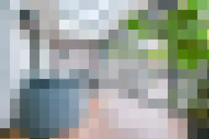 Koningsvaren 7 Soest thumbnail 6