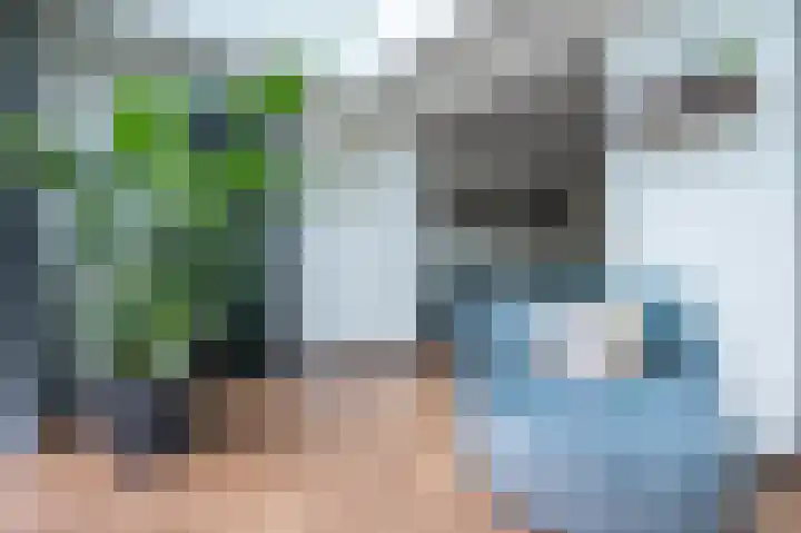 Koningsvaren 7 Soest thumbnail 8