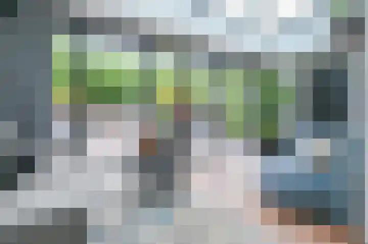 Koningsvaren 7 Soest thumbnail 9