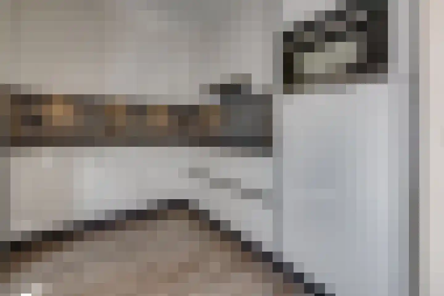 Koningsvaren 82 Ter Apel thumbnail 17