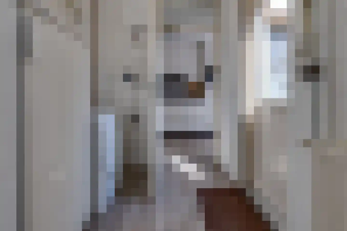 Koningsvaren 82 Ter Apel thumbnail 20