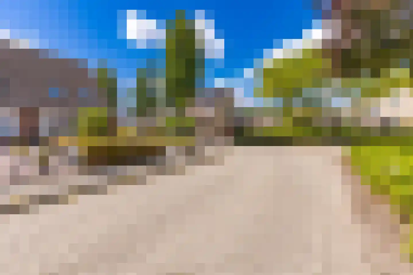 Koningsvaren 82 Ter Apel thumbnail 4