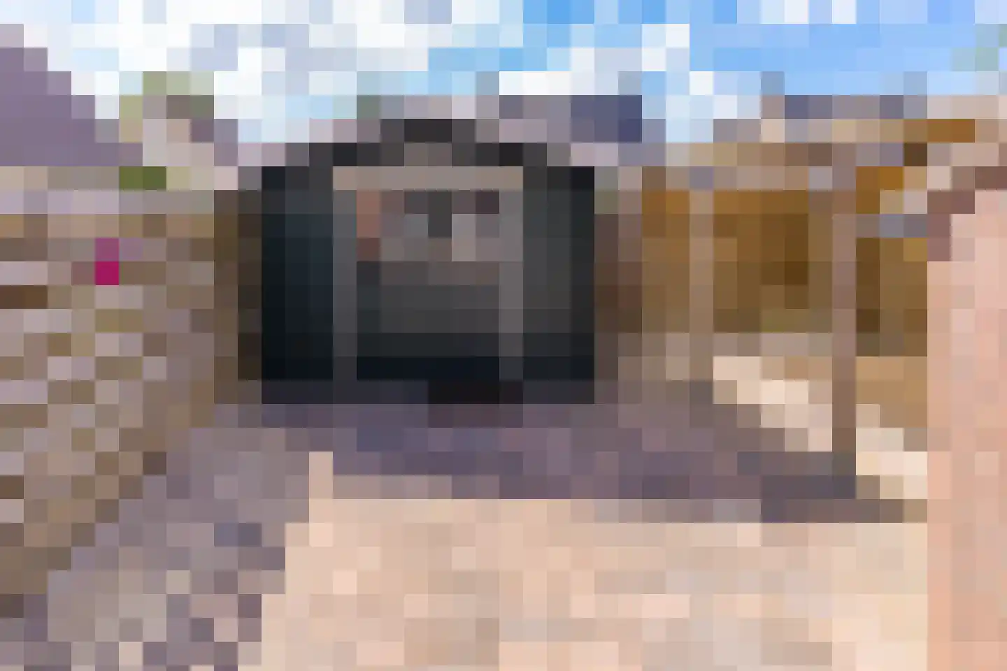 Koningsvaren 82 Ter Apel thumbnail 42