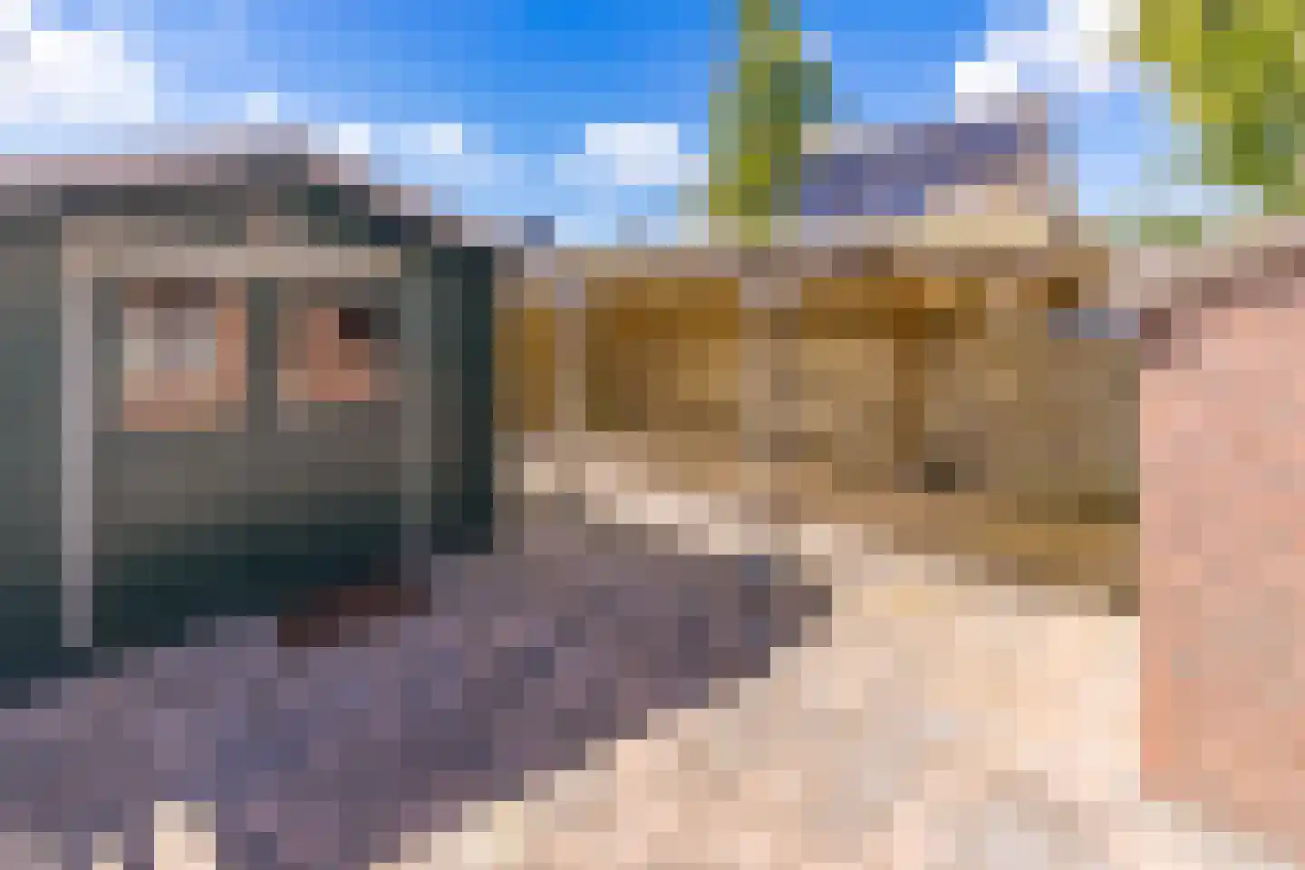 Koningsvaren 82 Ter Apel thumbnail 43