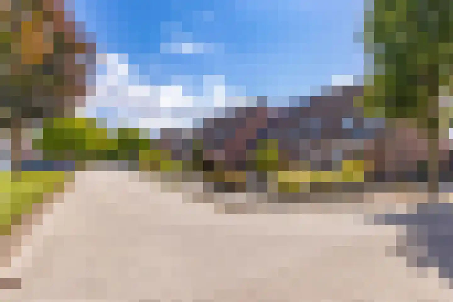 Koningsvaren 82 Ter Apel thumbnail 6