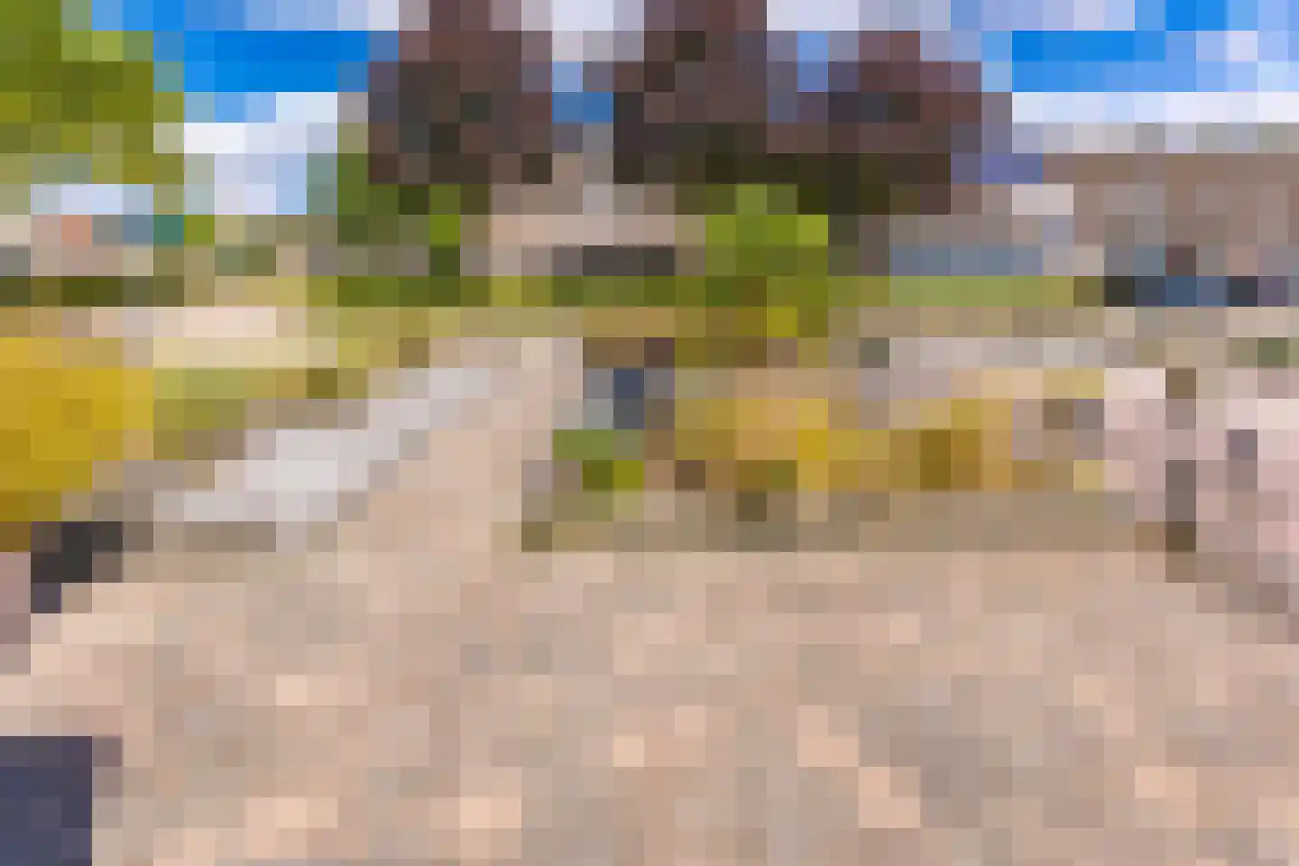 Koningsvaren 82 Ter Apel thumbnail 8