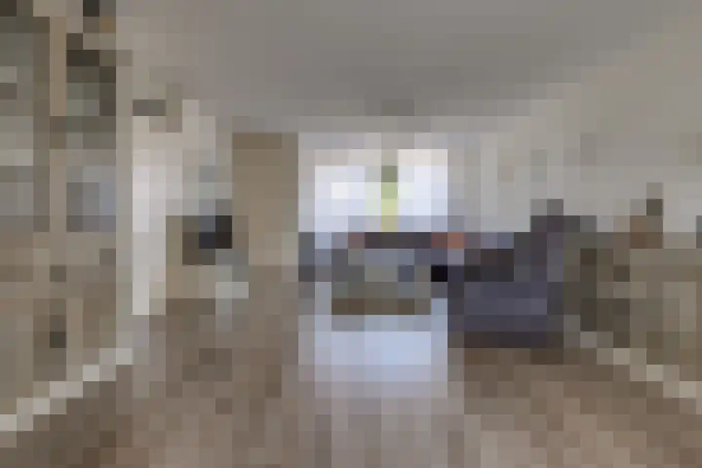 Koningsvaren 82 Ter Apel thumbnail 9