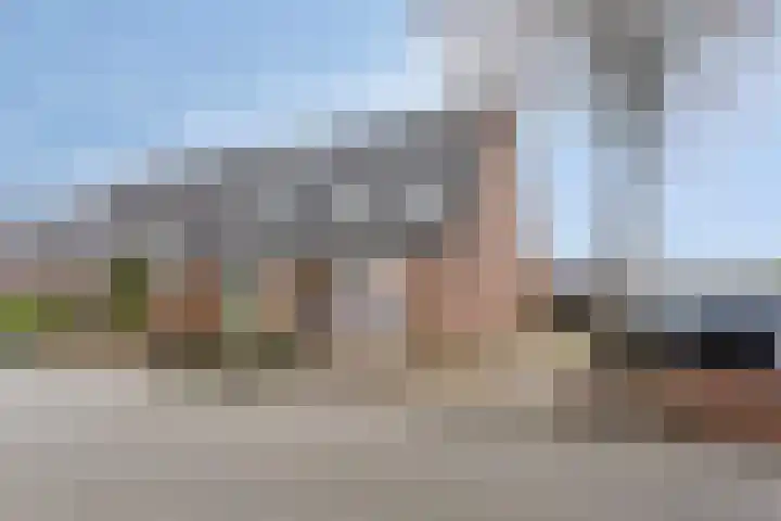 Koningsvaren 96 Ter Apel