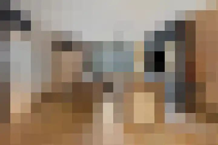 Koningsvaren 96 Ter Apel thumbnail 10