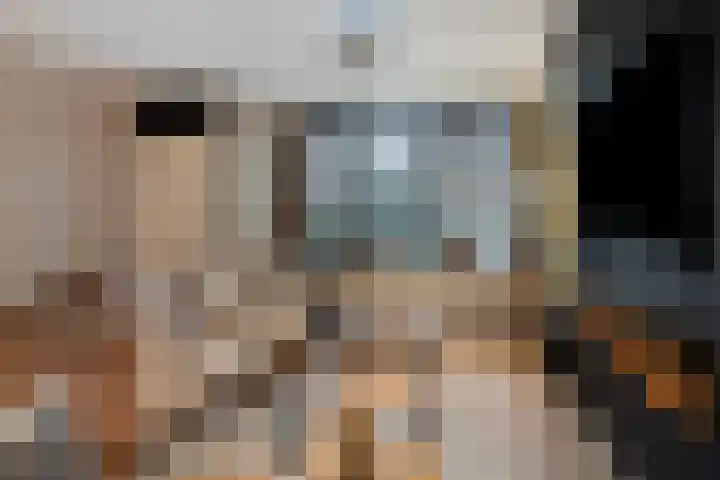 Koningsvaren 96 Ter Apel thumbnail 12