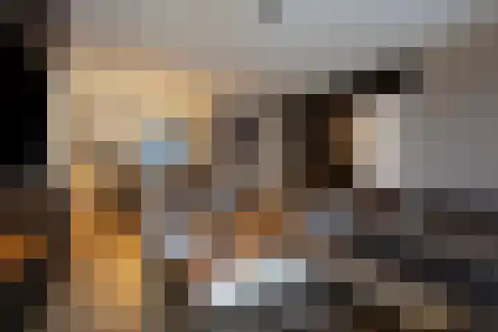 Koningsvaren 96 Ter Apel thumbnail 13