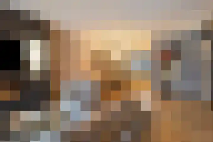 Koningsvaren 96 Ter Apel thumbnail 14