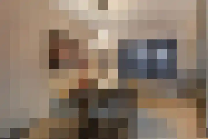 Koningsvaren 96 Ter Apel thumbnail 16