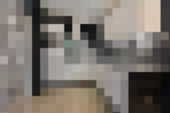Koningsvaren 96 Ter Apel thumbnail 17