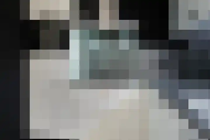 Koningsvaren 96 Ter Apel thumbnail 18