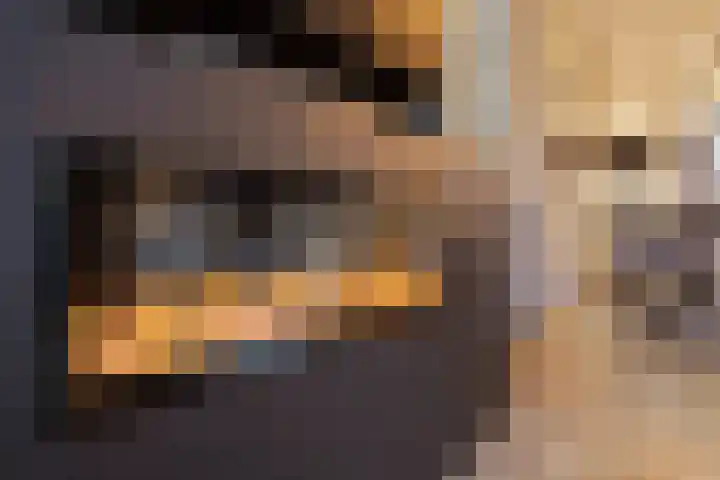 Koningsvaren 96 Ter Apel thumbnail 20