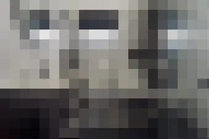 Koningsvaren 96 Ter Apel thumbnail 27