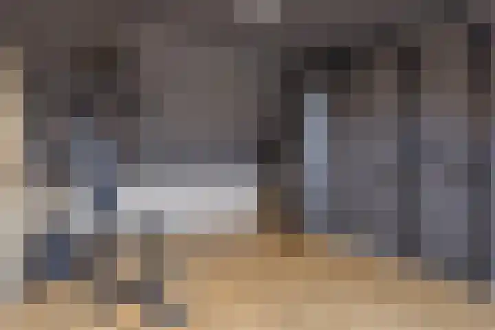 Koningsvaren 96 Ter Apel thumbnail 30