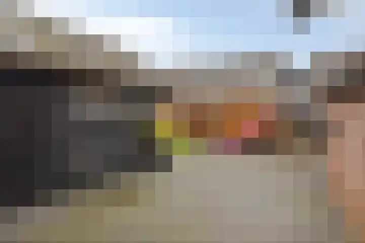 Koningsvaren 96 Ter Apel thumbnail 31