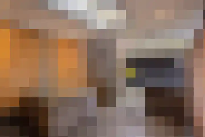 Koningsvaren 96 Ter Apel thumbnail 32