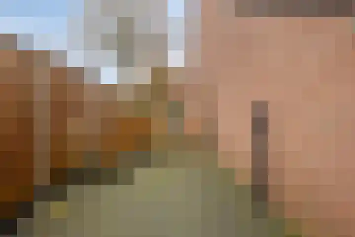 Koningsvaren 96 Ter Apel thumbnail 33