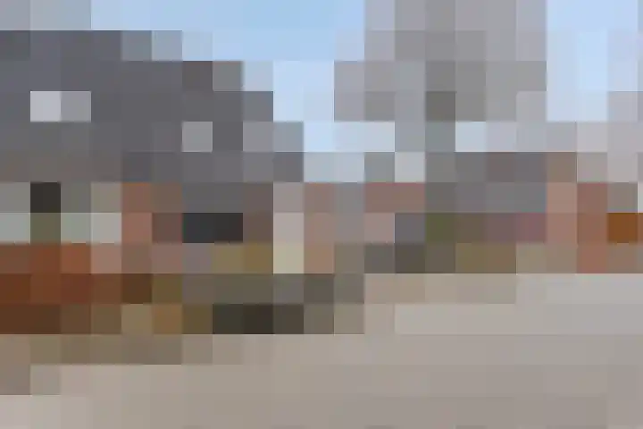Koningsvaren 96 Ter Apel thumbnail 36