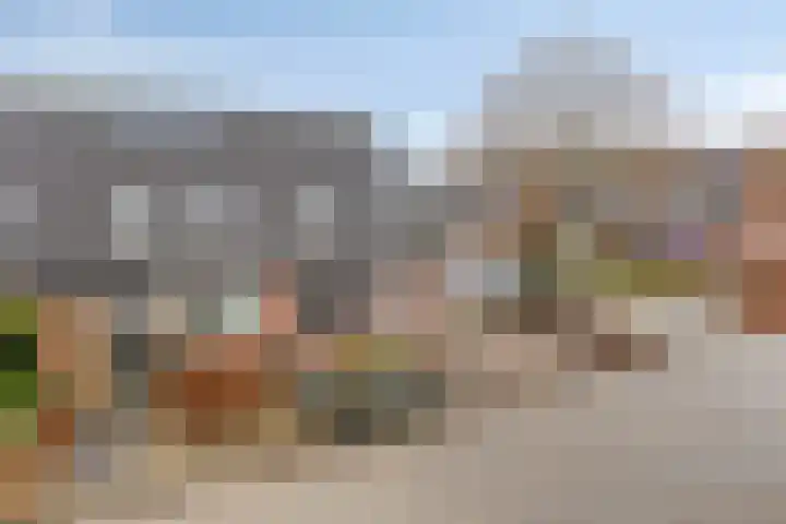Koningsvaren 96 Ter Apel thumbnail 37
