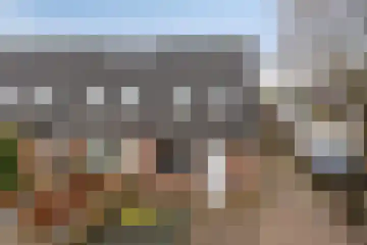 Koningsvaren 96 Ter Apel thumbnail 38