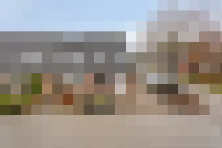Koningsvaren 96 Ter Apel thumbnail 5