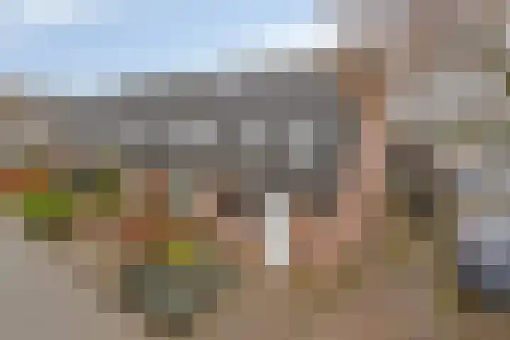Koningsvaren 96 Ter Apel thumbnail 7