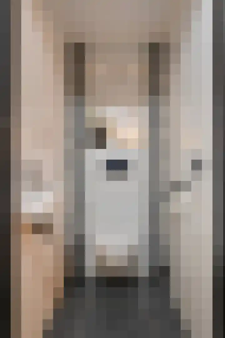 Koningsvaren 96 Ter Apel thumbnail 9
