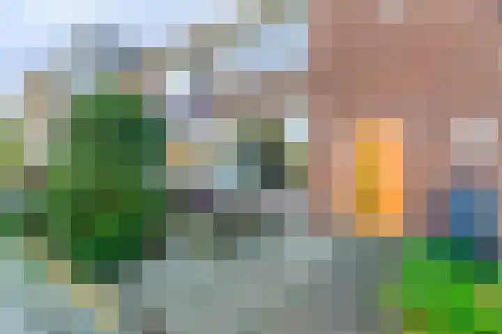 Koningsvarenstraat 23 Wormer thumbnail 10