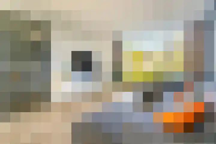 Koningsvarenstraat 23 Wormer thumbnail 16